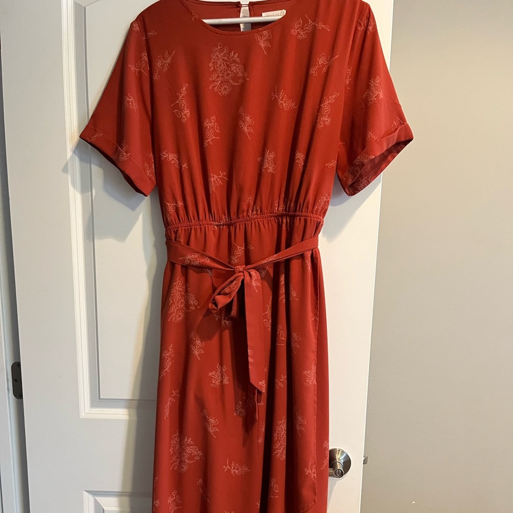 Roolee Rust/Orange Colored Dress—XXL/EUC/Lined